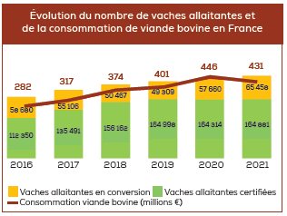 Évolution du nombre de vaches allaitantes et de la consommation de viande bovine en France