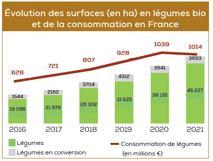 Évolution des surfaces (en ha) en légumes bio et de la consommation en France