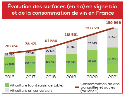 Évolution des surfaces (en ha) en vigne bio et de la consommation de vin en France