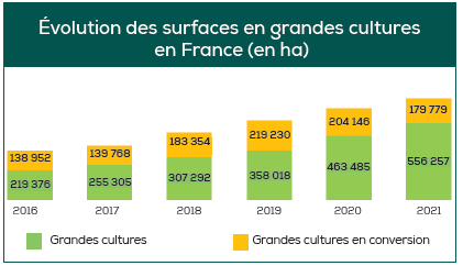 Évolution des surfaces en grandes cultures en France