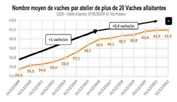 Nombre moyen de vaches par atelier de plus de 20 vaches allaitantes