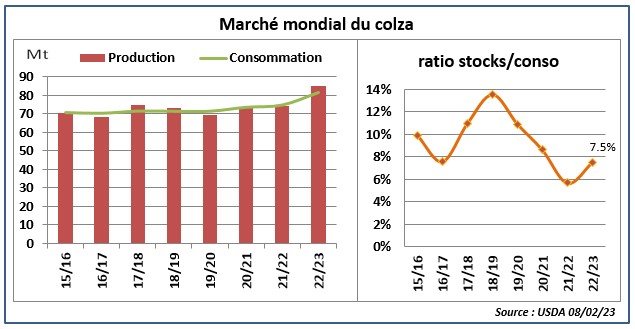 Marché mondial du colza