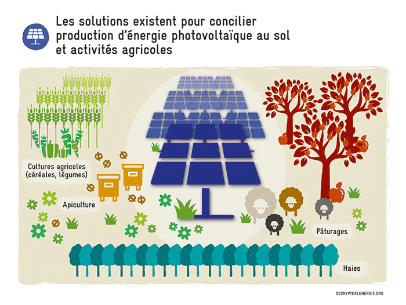 Les solutions existent pour concilier production d'énergie photovoltaïque au sol et activités agricoles