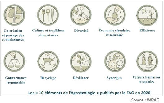Les "10 éléments de l'Agroécologie" publiés par la FAO en 2020