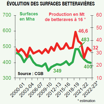 Évolution des surfaces bettravières