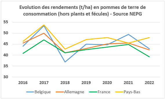 Evolution des rendements en pomme de terre de consommation 