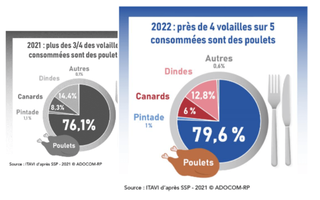Veille économique : consommation des volailles de chair 2022 2023