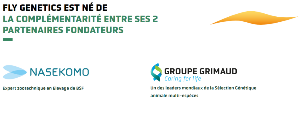  : Nasekomo et groupe Grimaux