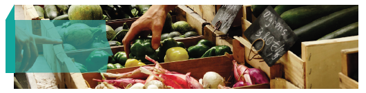 Le contexte du marché bio et les résultats de l'ensemble des producteurs