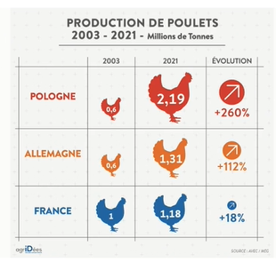 Au cours de ces 20 ans, la France est devenu le 1er pays consommateur de volailles de l’Union européenne (dont 80 % de poulet) : la consommation de poulet par Français est passée de 15,6 kg en 2012 à 22,5 kg en 2022, soit + 4,4 % par an en moyenne sur la période. Du jamais vu par rapport aux autres viandes ! Cette asymétrie entre baisse de la production et développement de la consommation a conduit à l’explosion des importations.