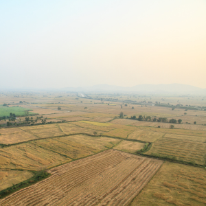 Un groupe d’experts animé par FranceAgriMer a élaboré cinq scénarios d’adaptation possible des filières grandes cultures pour faire face au changement climatique, à horizon 2040-2045. Cette étude a été présentée au comité « Grandes Cultures — Atténuation et Adaptation au changement climatique » de FranceAgriMer à l’occasion du Salon de l’Agriculture 2024. Elle a été demandée par les interprofessions des grandes cultures suite au Varenne de l’eau.