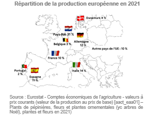Répartition de la production européenne de fleurs en 2021 pour analyse en 2023
