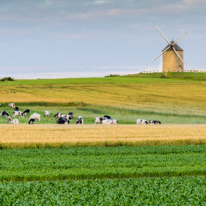 Observatoire économique agricole normand