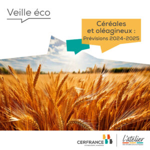 Céréales et oléagineux : prévisions campagne 2024-2025