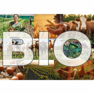 Etude agriculture bio résultats 2023