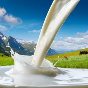 Note prix du lait janvier printemps 2025