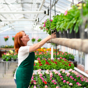Veille économique | Horticulture et pépinières