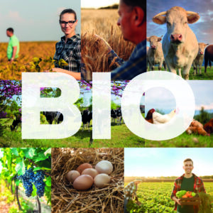 Observatoire agriculture bio 2025